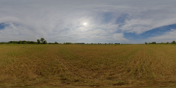 HDRI Sky 098