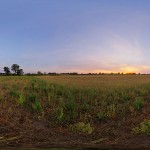 Download free hdri sky