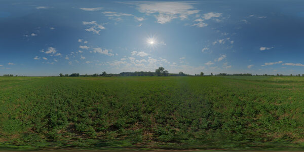 HDRI Sky 232