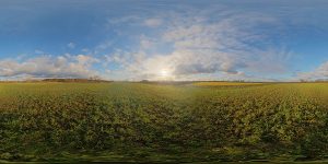 HDRI Sky 208 - HDRI SKIES