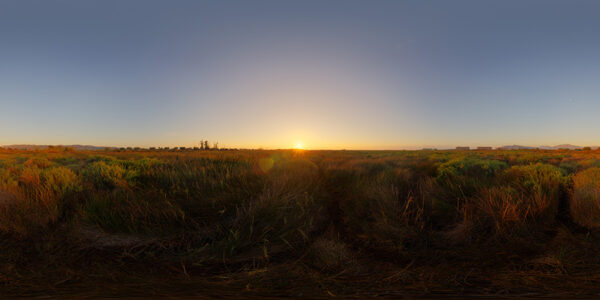 HDRI Sky 413