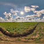 clear hdri sky map