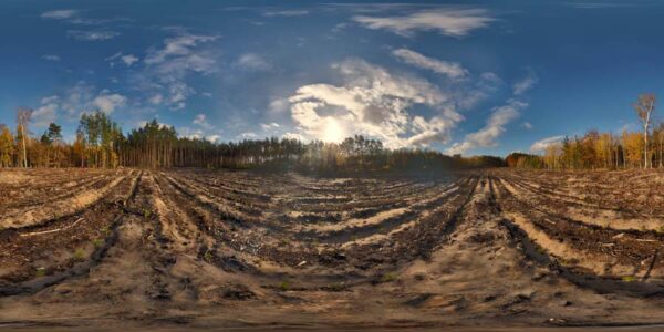 HDRI Map 747