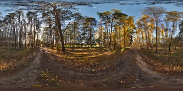 HDRI Map 748