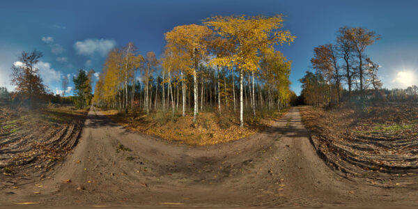 HDRI Map 746