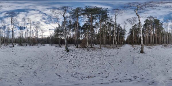 360 Background 008