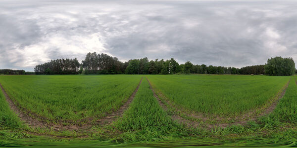 HDRI Sky 860