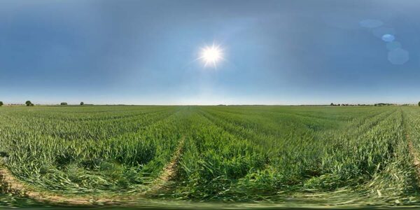 HDRI Sky 861