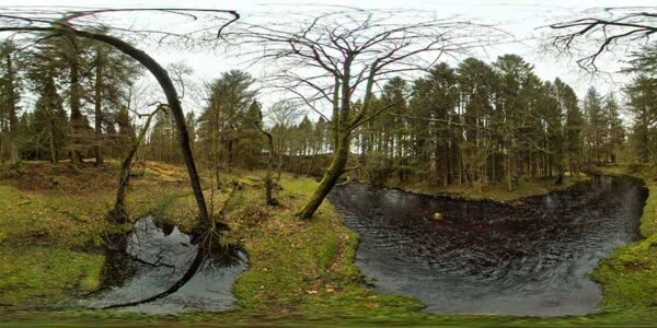 360 Background 065