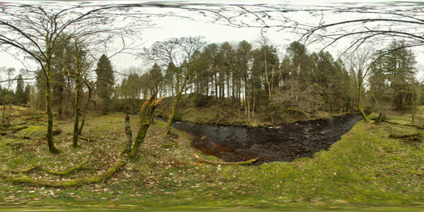 360 Background 066