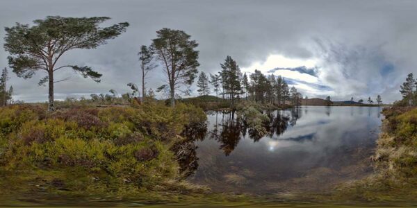 360 Background 085