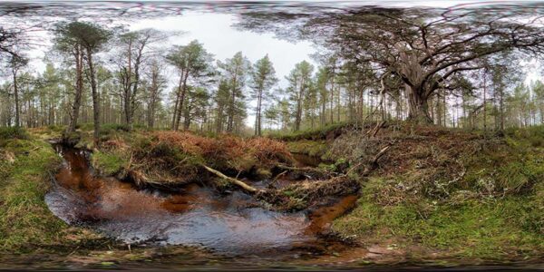 360 Background 086