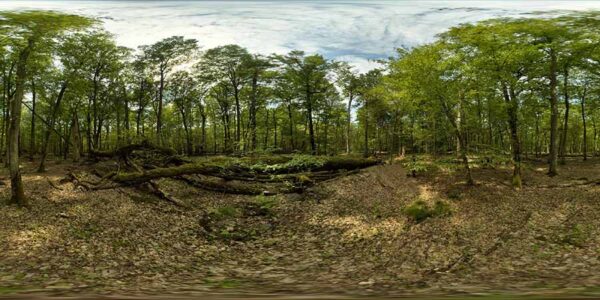 360 Background 126