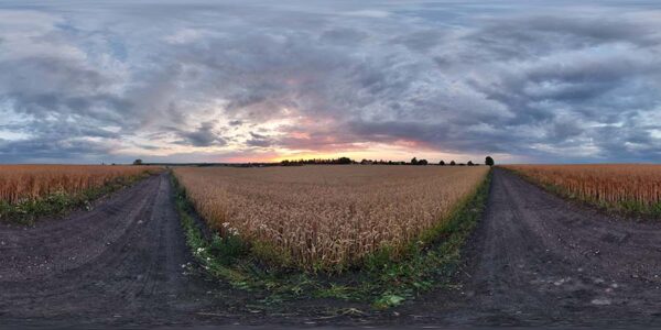 HDRI Sky 884