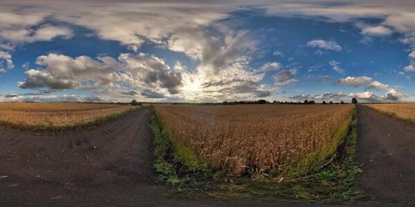 HDRI Sky 885