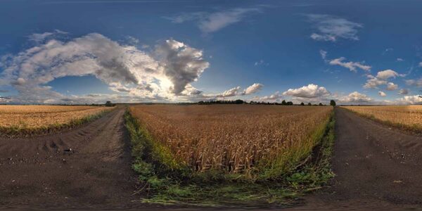 HDRI Sky 887