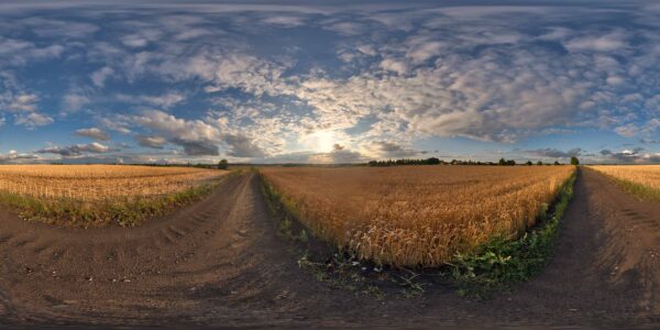 HDRI Sky 886