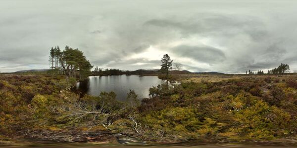 360 Background 099