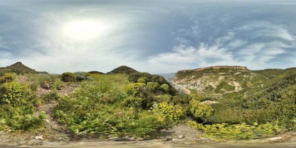 360 Background 118