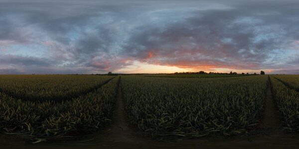 HDRI Sky 900