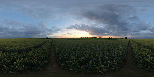 HDRI Sky 902