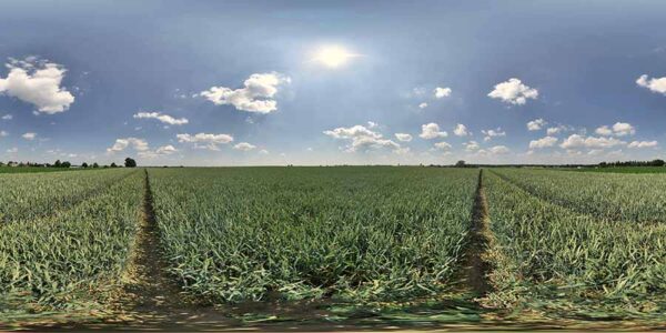 HDRI Sky 897