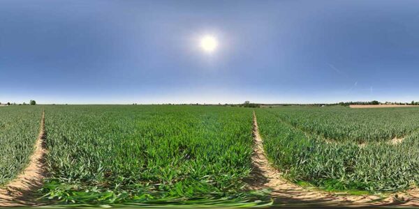 HDRI Sky 898