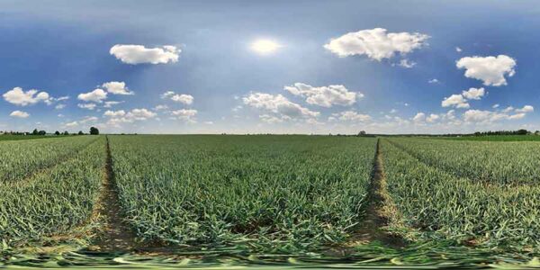 HDRI Sky 899