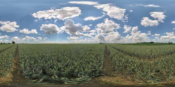 HDRI Sky 903