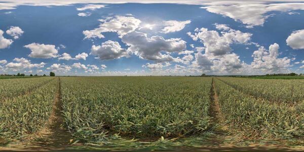 HDRI Sky 904