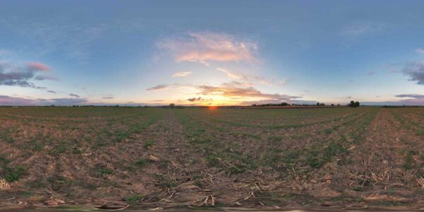 HDRI Sky 907