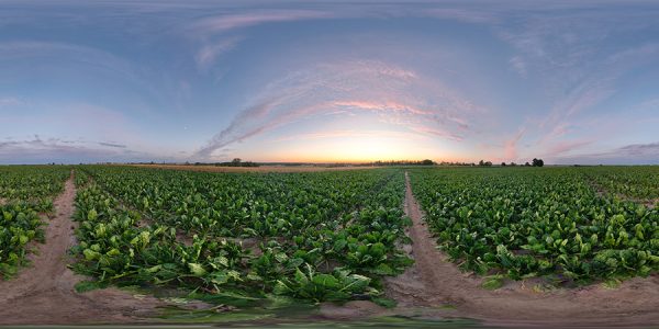 HDRI Sky 949