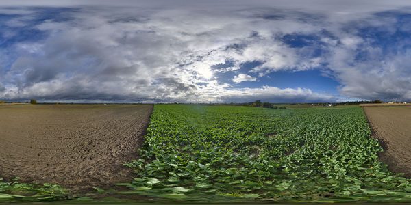 HDRI Sky 951