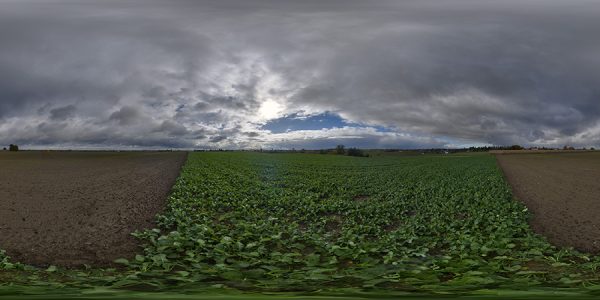 HDRI Sky 952
